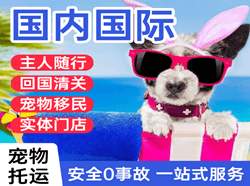 奇台江布拉克空运国际宠物托运 【国